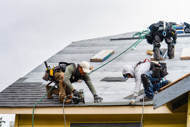 Professional Storm Damage Roof Repair technician working in Fullerton, NE